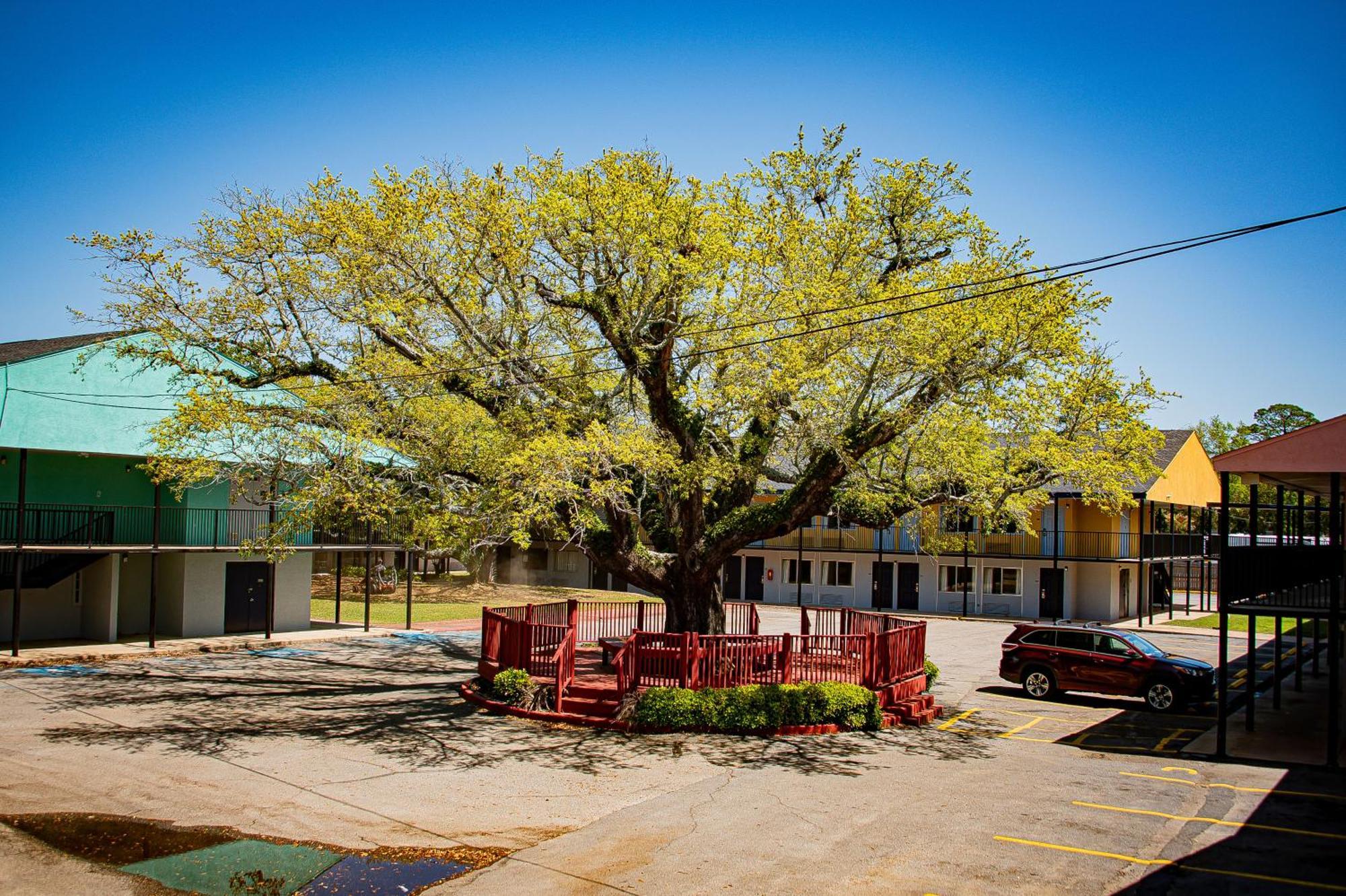 Motel Super 8 By Wyndham Biloxi Exterior foto